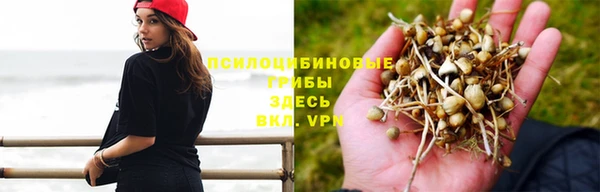 стаф Наволоки