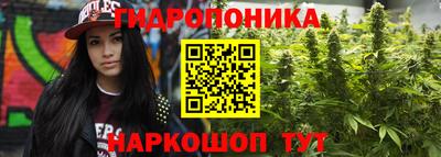 прущая мука Беслан
