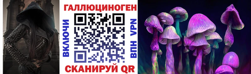 Псилоцибиновые грибы Cubensis  сколько стоит  omg   Полевской 