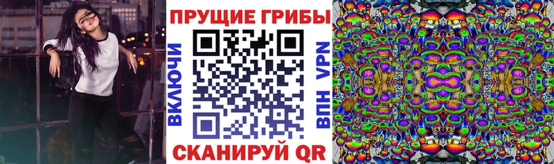 Псилоцибиновые грибы Cubensis Полевской