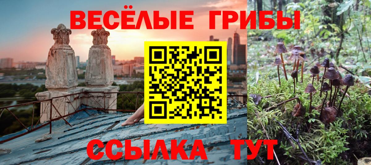 Псилоцибиновые грибы ЛСД Полевской