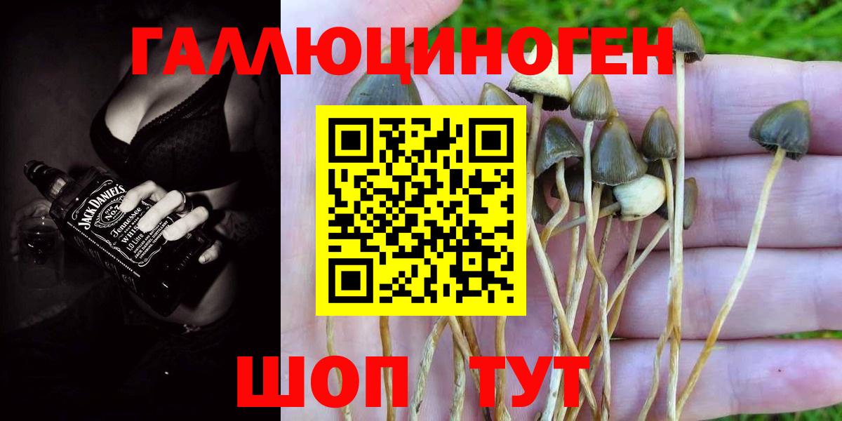 Псилоцибиновые грибы мухоморы  Вход с VPN  Полевской  Галлюциногенные грибы мицелий 