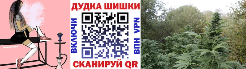 Каннабис гибрид  Полевской 