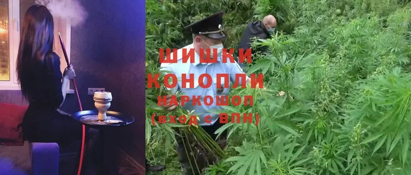 мега сайт  продажа наркотиков  Полевской  Марихуана SATIVA & INDICA 