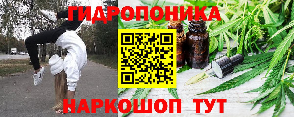 Полевской  Канабис OG Kush  Каннабис планчик  Вход с VPN  Шишки марихуана сатива 